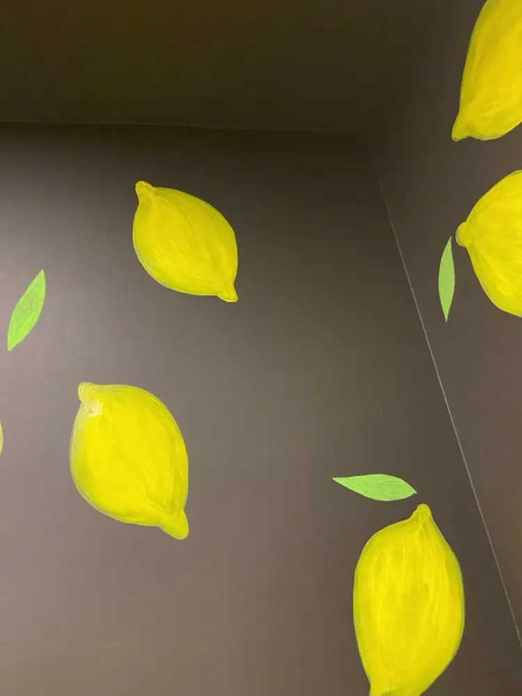 fresque-murale-bertille-dessine-saint-medard-en-jalles