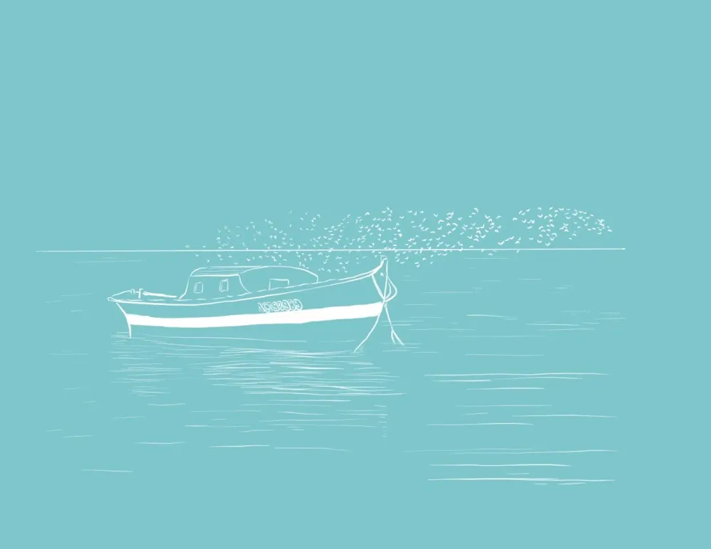 affiche-bertille-dessine-gironde