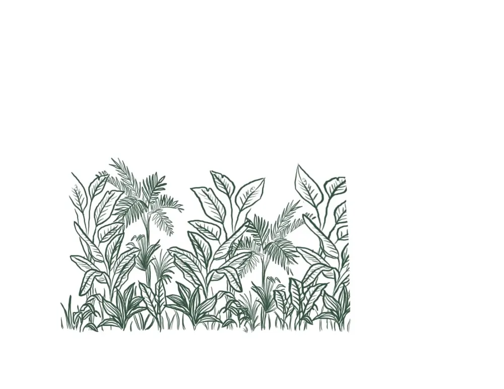 affiche-bertille-dessine-gironde